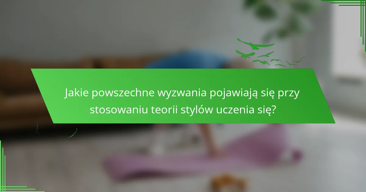 Jakie powszechne wyzwania pojawiają się przy stosowaniu teorii stylów uczenia się?