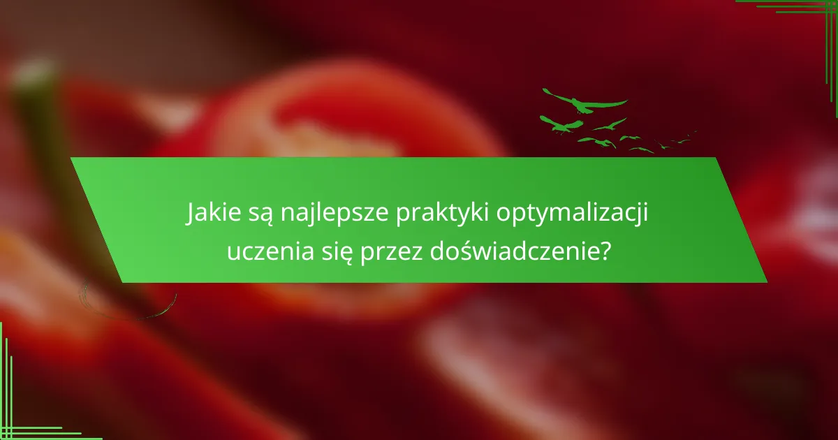 Jakie są najlepsze praktyki optymalizacji uczenia się przez doświadczenie?
