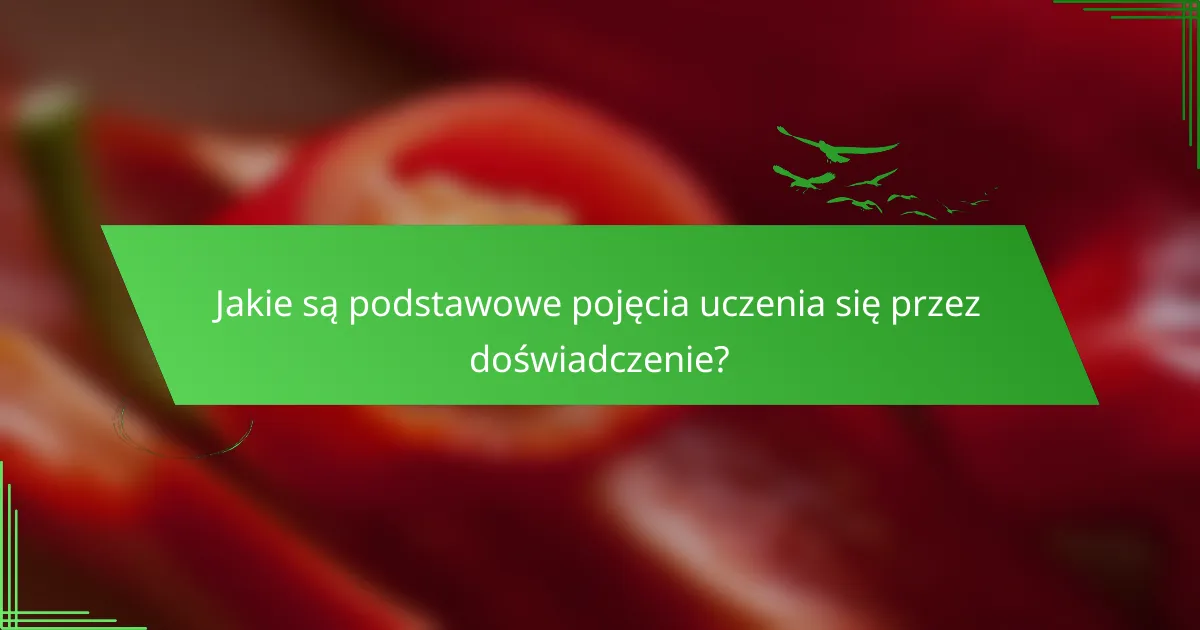 Jakie są podstawowe pojęcia uczenia się przez doświadczenie?